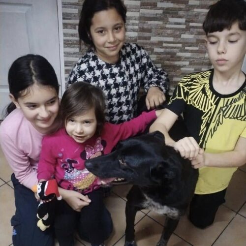 Luptăm, muncim și milităm pentru adopții