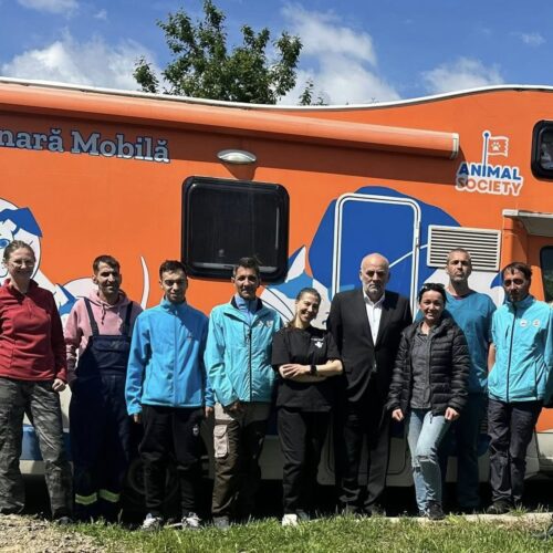 Primăria Municipiului Suceava a început campaniile de sterilizări