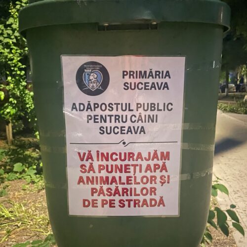 Adăpostul Public Suceava dă startul campaniei „Pune apă pentru animale”