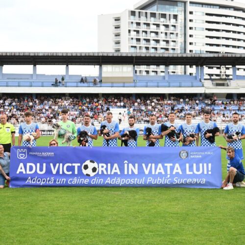 Un vis trăit cu ochii deschiși: Căței și emoții pe Stadionul Areni