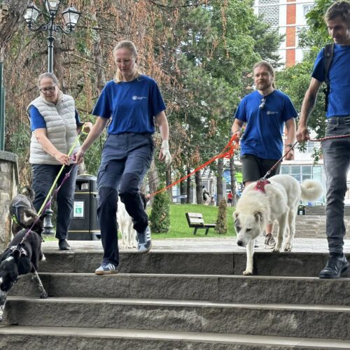 Ieri ne-am revăzut cu bucurie la un nou târg de adopții