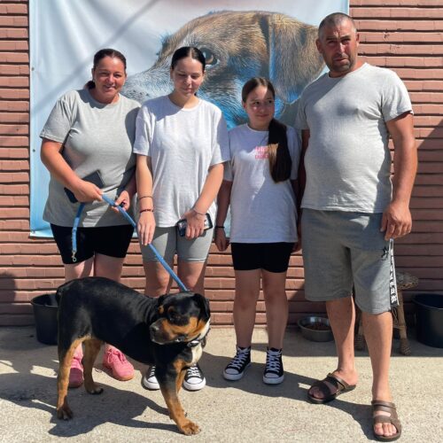HAPPY ADOPTION STORY – HERA!