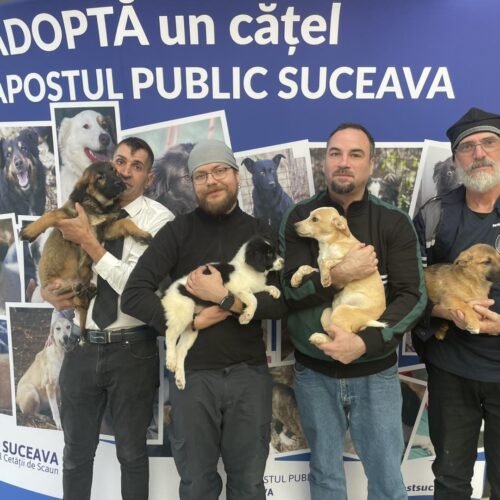 581133646_122183869736550808_8433616690221166136_n Mulțumim voluntarilor noștri!